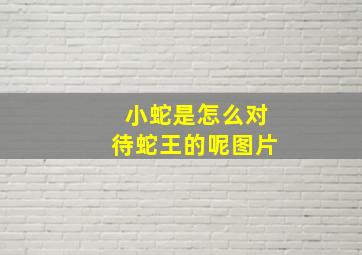 小蛇是怎么对待蛇王的呢图片