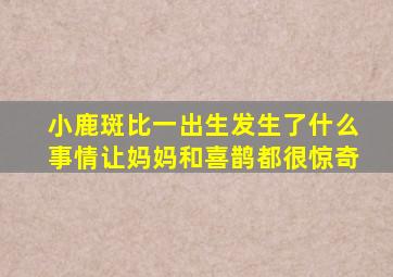 小鹿斑比一出生发生了什么事情让妈妈和喜鹊都很惊奇