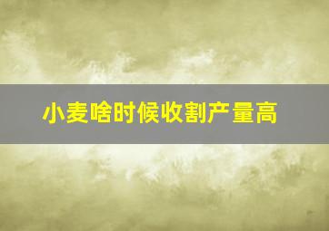 小麦啥时候收割产量高