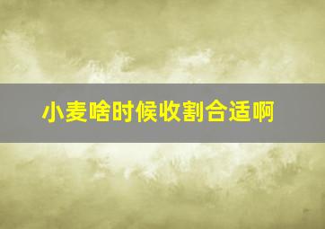 小麦啥时候收割合适啊