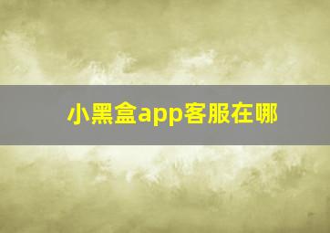 小黑盒app客服在哪