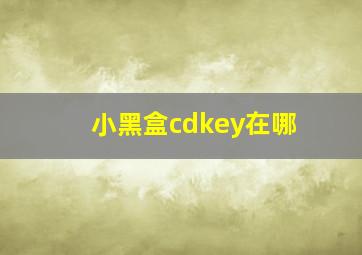 小黑盒cdkey在哪