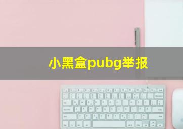 小黑盒pubg举报