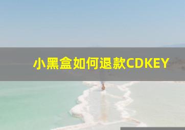 小黑盒如何退款CDKEY