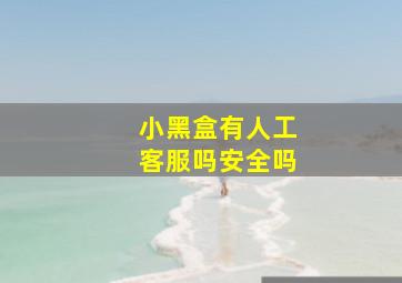 小黑盒有人工客服吗安全吗