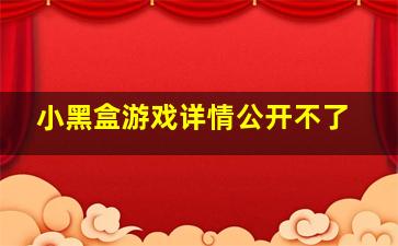 小黑盒游戏详情公开不了