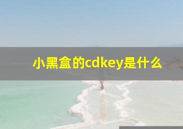 小黑盒的cdkey是什么