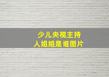 少儿央视主持人姐姐是谁图片