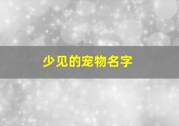 少见的宠物名字