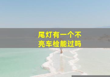 尾灯有一个不亮车检能过吗