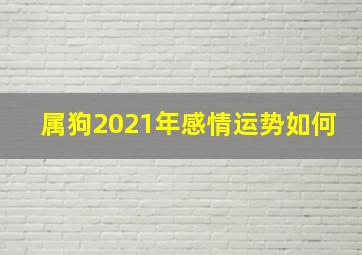 属狗2021年感情运势如何