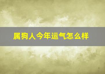 属狗人今年运气怎么样