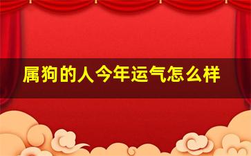 属狗的人今年运气怎么样