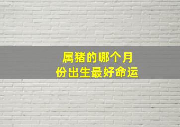 属猪的哪个月份出生最好命运