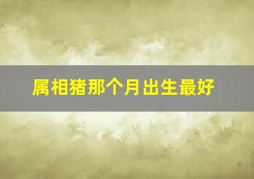 属相猪那个月出生最好