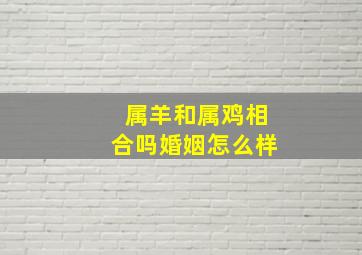 属羊和属鸡相合吗婚姻怎么样