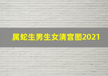 属蛇生男生女清宫图2021