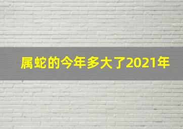 属蛇的今年多大了2021年