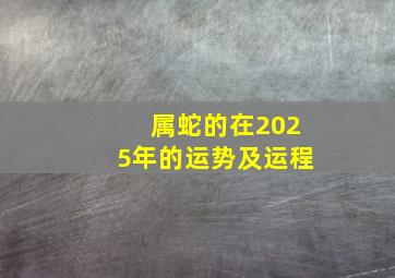 属蛇的在2025年的运势及运程