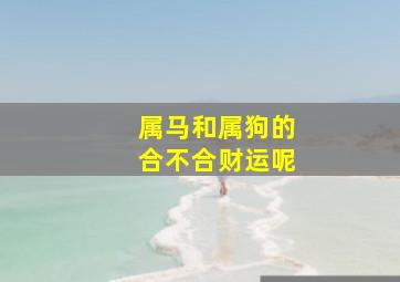 属马和属狗的合不合财运呢