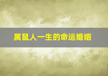 属鼠人一生的命运婚姻