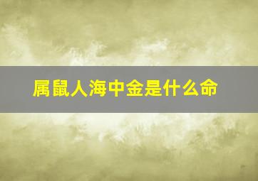 属鼠人海中金是什么命