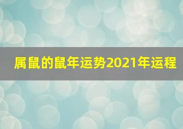 属鼠的鼠年运势2021年运程