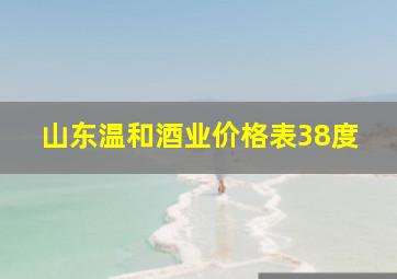 山东温和酒业价格表38度