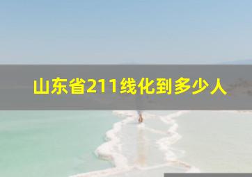 山东省211线化到多少人