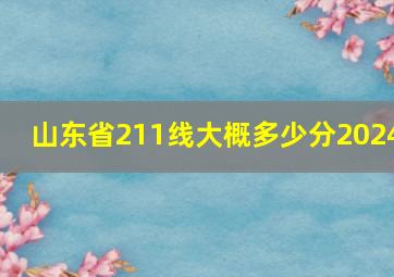 山东省211线大概多少分2024