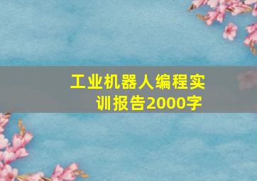 工业机器人编程实训报告2000字