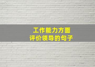 工作能力方面评价领导的句子