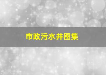 市政污水井图集