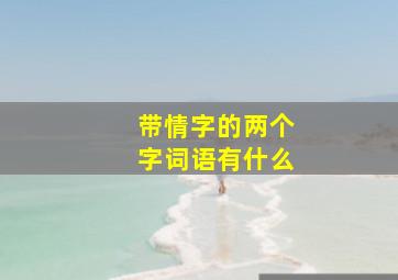 带情字的两个字词语有什么