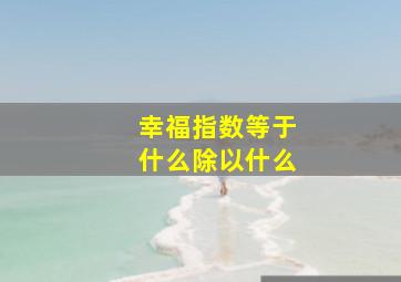 幸福指数等于什么除以什么