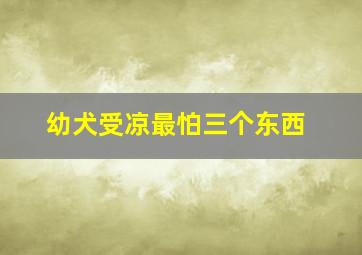 幼犬受凉最怕三个东西