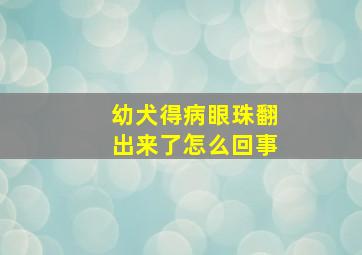 幼犬得病眼珠翻出来了怎么回事