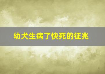 幼犬生病了快死的征兆