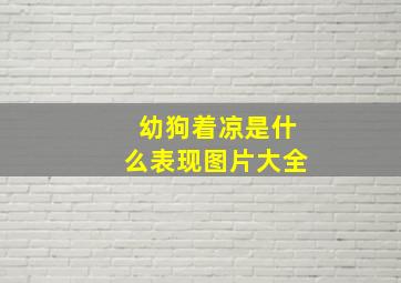 幼狗着凉是什么表现图片大全