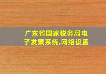 广东省国家税务局电子发票系统,网络设置