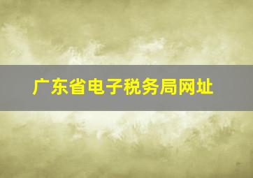 广东省电子税务局网址