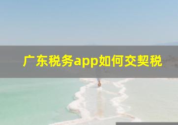 广东税务app如何交契税