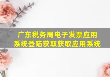 广东税务局电子发票应用系统登陆获取获取应用系统