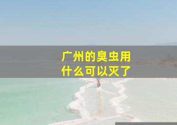 广州的臭虫用什么可以灭了