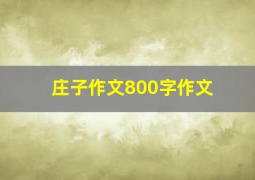 庄子作文800字作文