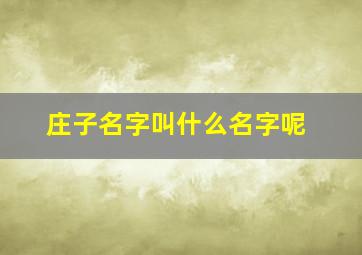 庄子名字叫什么名字呢