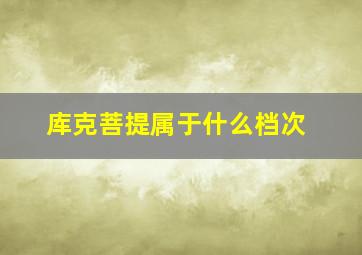 库克菩提属于什么档次