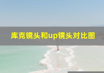 库克镜头和up镜头对比图