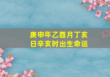 庚申年乙酉月丁亥日辛亥时出生命运