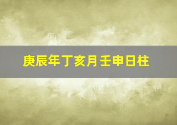 庚辰年丁亥月壬申日柱